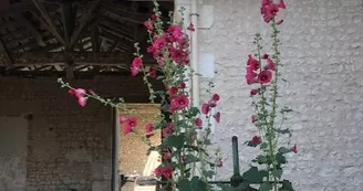 Chambre d'hôtes - Domaine de Beauséjour -6 pers