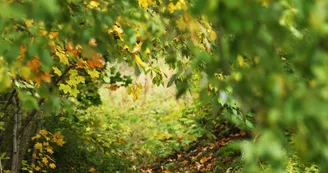 Arboretum Jean Aubouin Arboretum Jean Aubouin