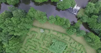 Labyrinthe vegetal