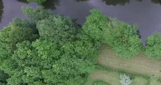 Labyrinthe vegetal