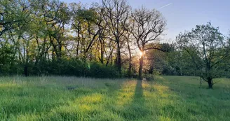 Les Chagnasses Rural Gîtes