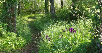 Les Chagnasses Rural Gîtes