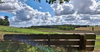 Les Chagnasses Rural Gîtes