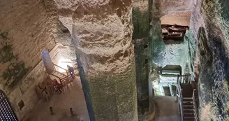 Les pins parasols  - 4 pers - Les gîtes de la ferrière
