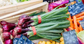 Weekly market of Bonnes