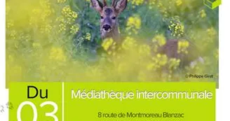 Exposition Photographies