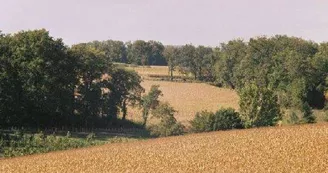 Gîte Chez Penet Gîte Chez Penet