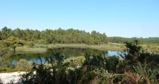 Les carrières de Touvérac Les carrières de Touvérac