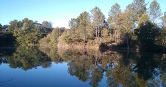 Piquedur fishing pond