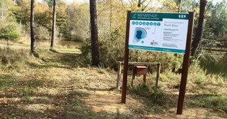 Piquedur fishing pond