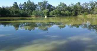 Etang de pêche de Chardes Etang de pêche de Chardes