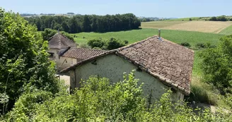 Les Chauvins