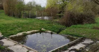 Picnic area of Charmant