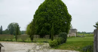Les gîtes de la Sérénité