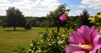 Domaine de la Valade motorhome parking area
