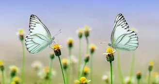 Fête de la nature à Blanzaguet sur le thème de l'eau