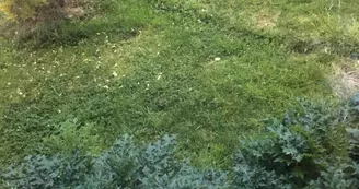 Gite chez Ravaud - 7 pers