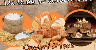 Affiche Fête du Pain Atleb au Château de Lussaud