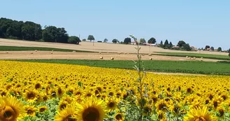 Gîte la maronnière - 4 pers