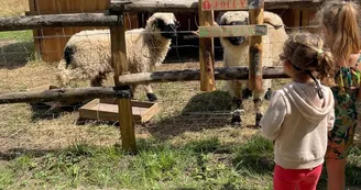 Natu'Ranch - Immersion treasure hunt in Cowboy country
