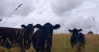 Natu'Ranch - Immersion treasure hunt in Cowboy country
