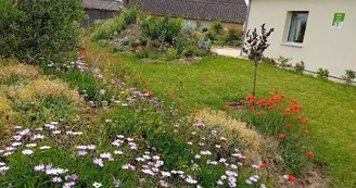 Domaine Marodi - Gîte Jasmin - 2 pers