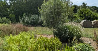 Domaine Marodi - Gîte Jasmin - 2 pers