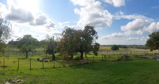 Le Retour au Soi - DomaineB&G