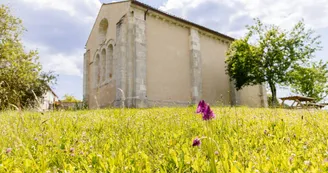 Randonnée avec des ânes et visite de la Chapelle des Templiers