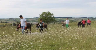 Randonnée avec des ânes et visite de la Chapelle des Templiers