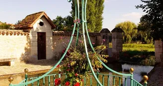 11697057.jpg 11697057.jpg