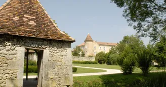 11697114.jpg