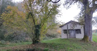 11700658.jpg