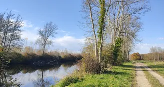 11702650.jpg
