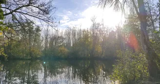 11703219.jpg
