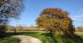 11703736.jpg