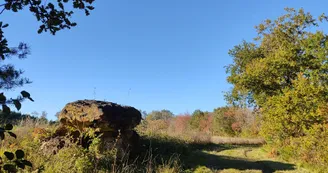 11705583.jpg