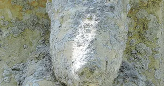 11791734.jpg