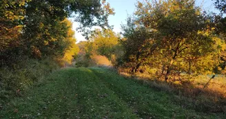 11802893.jpg