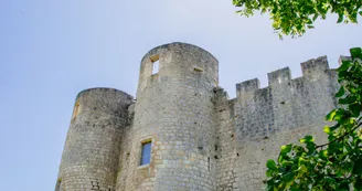 11908919.jpg 11908919.jpg