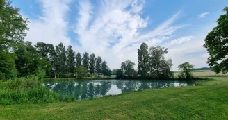 12024102.jpg