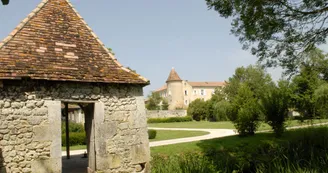 12156187.jpg