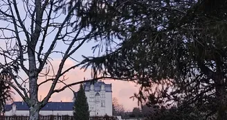 12195295.jpg 12195295.jpg