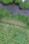 Labyrinthe vegetal