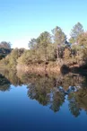 Piquedur fishing pond