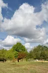 Rioux-Martin picnic area