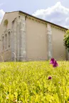 Randonnée avec des ânes et visite de la Chapelle des Templiers